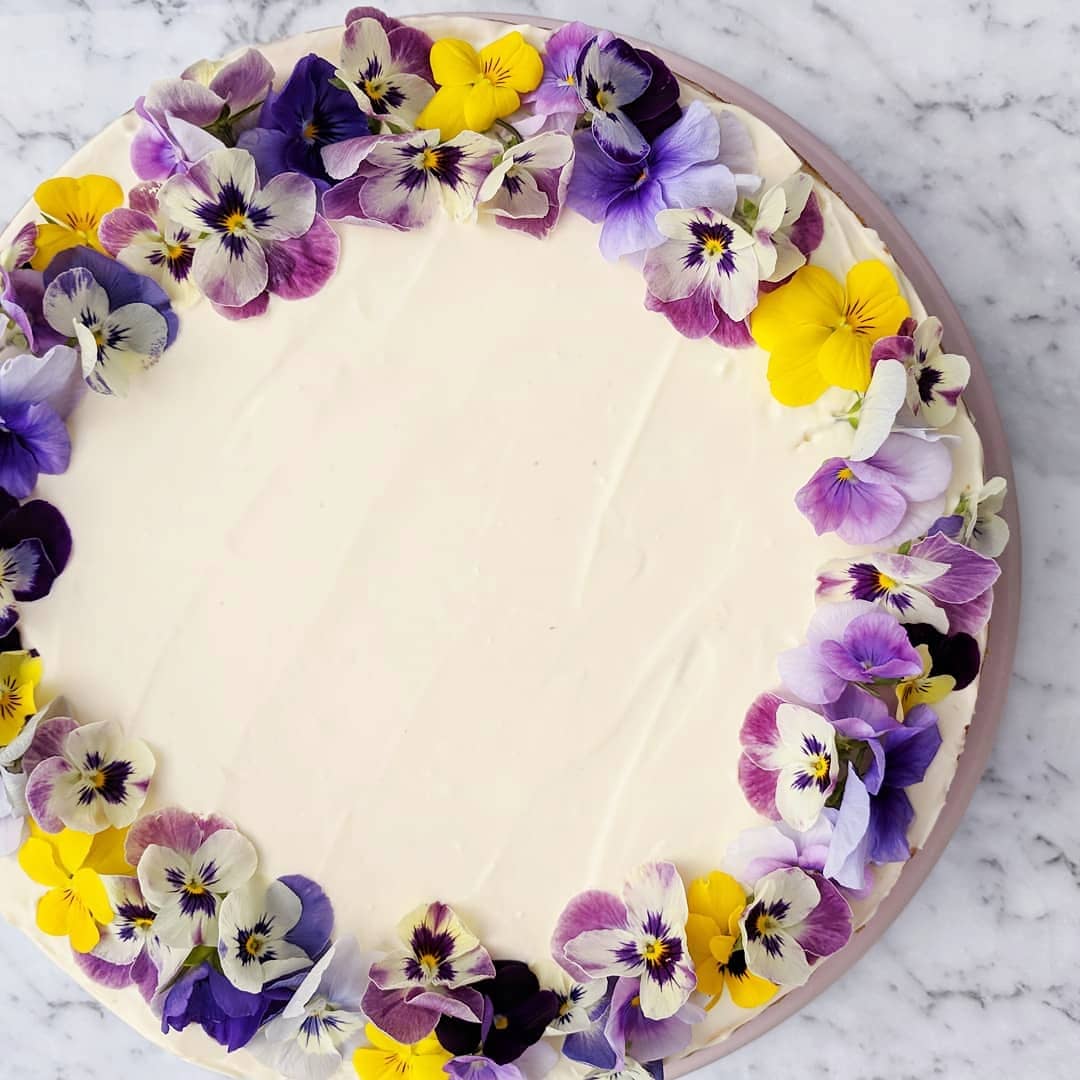 Cheesecake with edible violets Cheesecake with edible violets